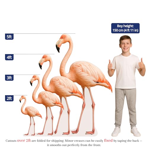 Image of Flamingo 3FT Life Size Cardboard Cutout - A Fun Animal Standup for Photo Booths, Birthday Parties, and Events