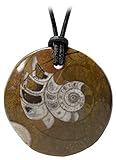 reloj fossil mujer Auténtica amonita (de Madagascar, de hace aproximadamente 60 millones de años). El colgante (de aprox. 30 x 30 x 5 mm), se ha engastado en metal.
