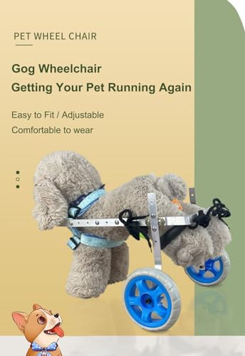 Aide à la rééducation pour animaux handicapés moteurs