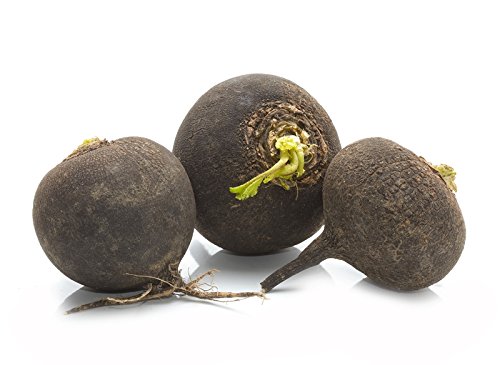 Rábano de inviernoKulata CernaBola negra - semilla
