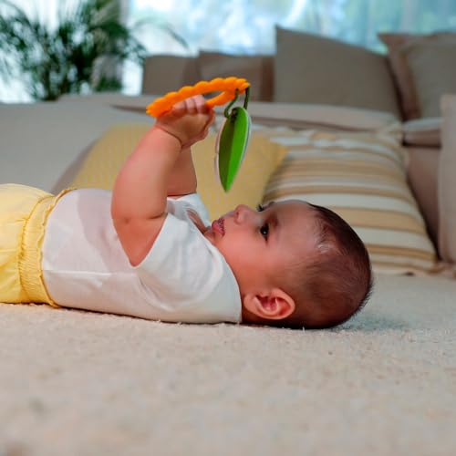 Tiny Love, Caixa Presente Primeiros Brinquedos Gift Set, Meadow Days