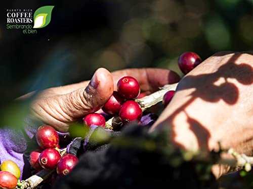 Yaucono, Cafe Crema, Cafe Rico Variety