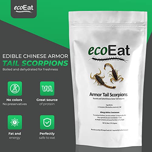 Edible Armor Tail Scorpions by ecoEat - Edible Insects Bugs Snack Gift - Image 3