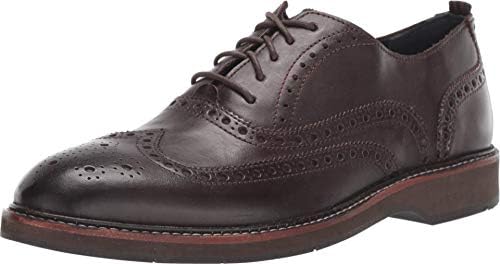 Cole Haan Men's Morris Wing OX:Java Oxford, Brown, 7 M US: Buy Online at  Best Price in UAE - Amazon.ae