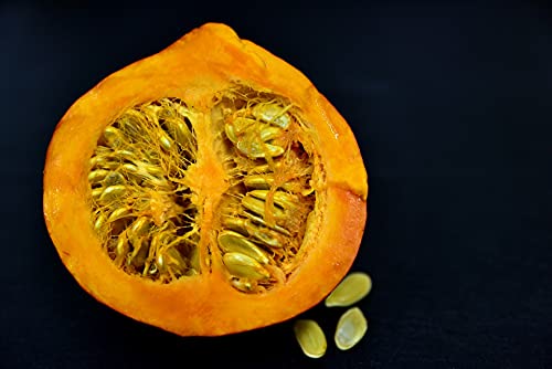 Organic Pumpkin Pepita Seeds Kernels - Raw, Non-Gmo, No Shell Unsalted Vegan Bulk (10Lb) #TOP3