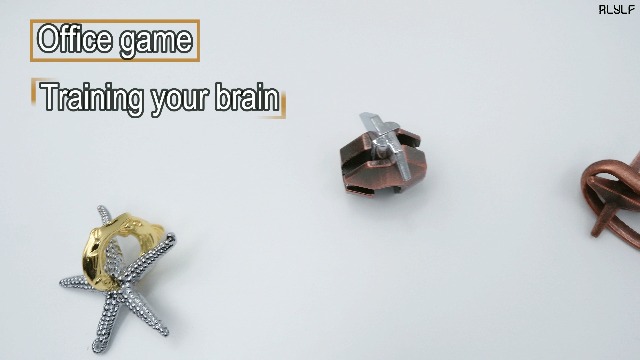 Amazon.com: RLYLF 8 Pieces Wooden and Metal Brain Teaser Puzzles