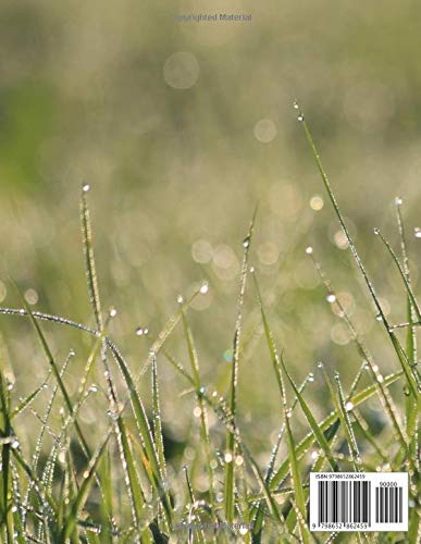 Notebook: Ruled Notebook Journal - Grass with Dew Drops Cover - 122 Pages - Large (8.5 x 11 inches) - Image 2