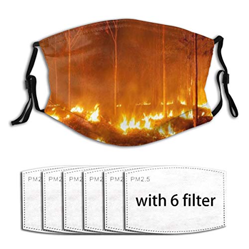 ALLMILL Forstwirtschaft Waldbrand Lauffeuer Brennende Bäume Naturfelsen Staubwaschbarer wiederverwendbarer Filter und wiederverwendbarer Mund Warmes winddichtes Baumwollgesicht