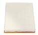 FRAM Extra Guard Air Filter, CA10262 for Select Ford and Lincoln Vehicles