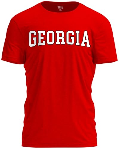 TeeStock Georgia T-Shirt Bold Sport State Letters Tee for Fans and Game Days
