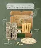 Salvia B0FL9LL52T lato 2