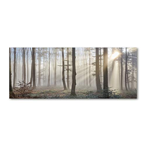 Fond de hotte verre sécurité paysage de forêt brun pour cuisine moderne