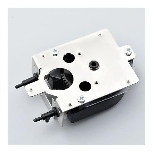 Pompe à encre anti-encrassage pour corriger les erreurs de jet Roland VP-540 - 2