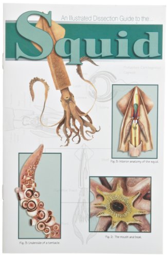 Image of Frey Scientific 597009 Mini-Guide to Squid Dissection