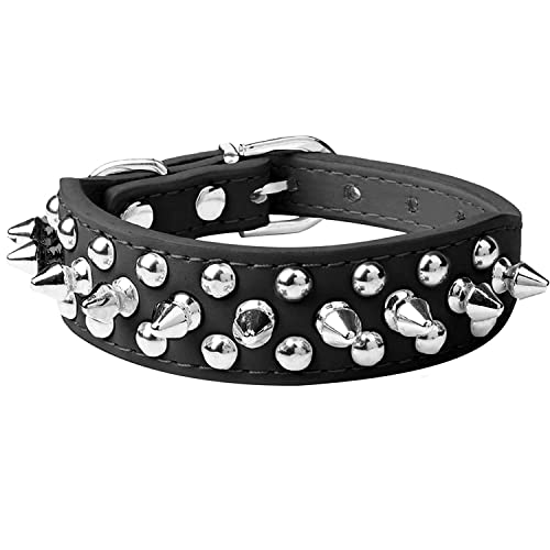 haoyueer XpCN hbO J[ \tg PU U[ }bV[ xbg XpCN X^bh q ߉\ ybg  ^p (MAubN)