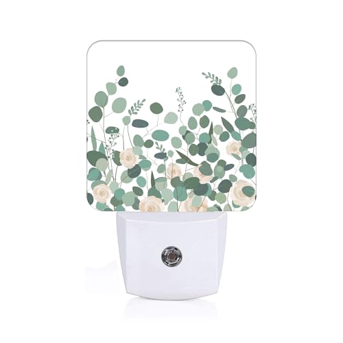Image of Eucalyptus Branches and Roses Night Light,Plug-in Nightlights Auto Sensor Night Lamp Dusk to Dawn Lamp Home Decor for Nursery Children Girls Boys