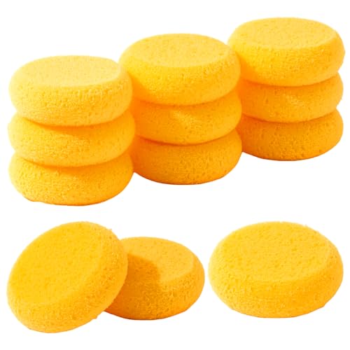 12Pcs Round Pottery Sponge for Leather Care