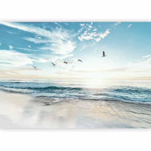 murando Fotomurales Mar Playa 350x256 cm XXL Papel pintado tejido no tejido Decoración de Pared decorativos Murales moderna de Diseno Fotográfico Cielo Pájaros Paisaje Naturaleza b B 10023 a a