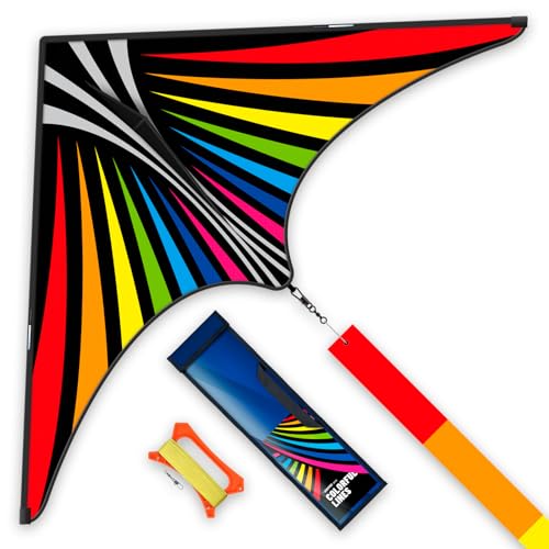 SGftre Outdoor Toys Large Triangle Kite ?Extremely Easy to Fly for Beginners?Long Tails with Handle Rainbow Kite Colorful Adults for Kids Rainbow Nylon Present Kites (Colorful Lines)