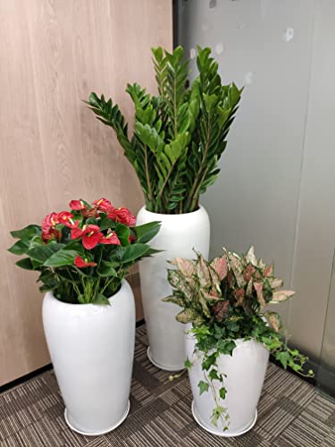 Angde Plant Saucer 18 19 Inch (17 Inch Base), Pack Of 6, Plastic Plant Saucers 18 Inch Round, Plant Saucer Drip Tray For Planters, Plant Water Trays For Pots, Plant Pot Saucers (Creamy White) #TOP3