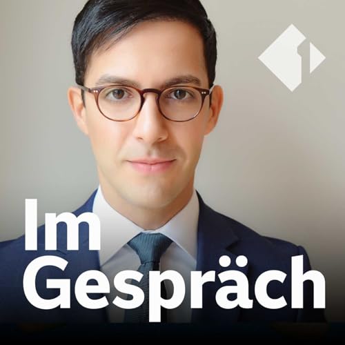 Ali Vaez, Iran-Experte