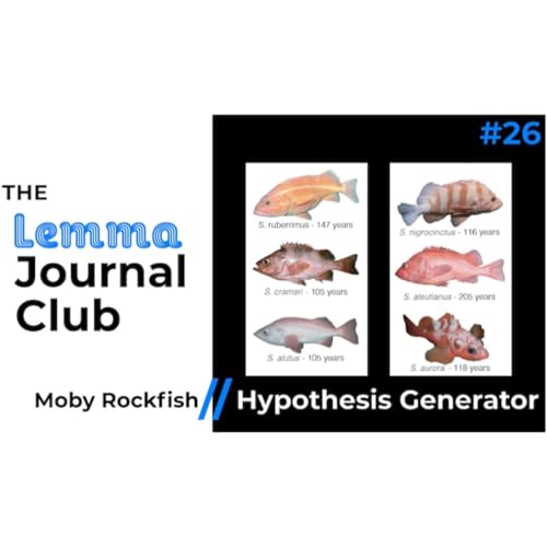 Moby Rockfish // The Hypothesis Generator [26]