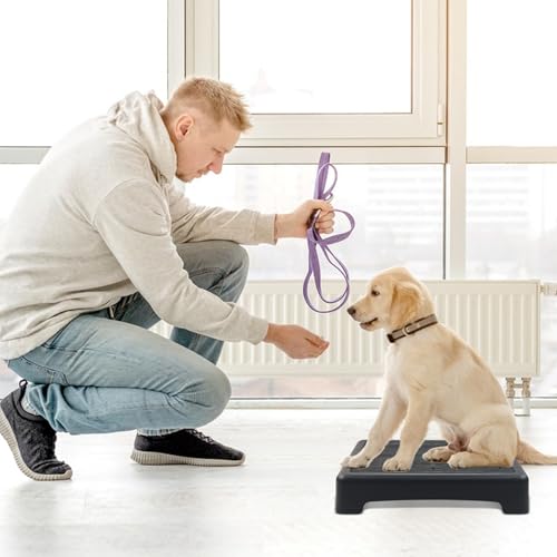Dog-Training-Place-Board-with-Non-Skid-Surface-Dog-Platform-for-Training-Portable-Dog-Agility-PlatformDog-Training-Stand-Dog-Training-Equipment-Suitable-for-Small-Medium-Dogs-Not-for-large-Dog Dog Training Place Board with Non Skid Surface Dog Platform for Training Portable Dog Agility PlatformDog Training Stand Dog Training Equipment Suitable for Small Medium Dogs Not for large Dog