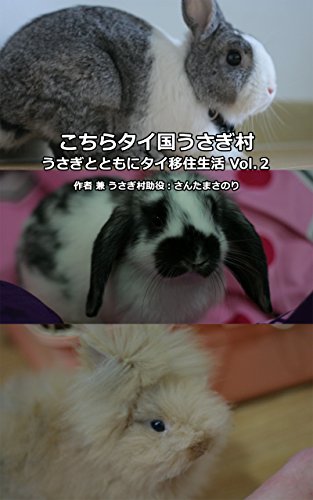 Amazon Com Kochira Taikoku Usagimura Usagi Tachi To Tomoni Tai Izyuuseikatu Japanese Edition Ebook Masanori Santa Kindle Store