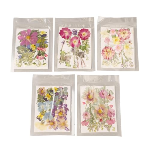 Kit Flores Presionadas 5 Bolsas Variadas para Manualidades miniatura 5