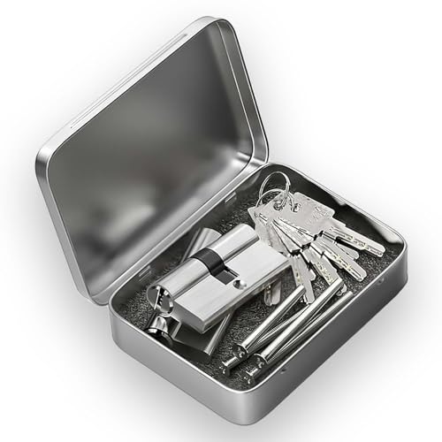 MANICAF Lot de 2 cylindres de serrure, cylindres profilés 30/30, serrure à cylindre, double cylindre profilé avec 6 clés, cylindres en laiton européen satiné avec finition zinc, trous traversants