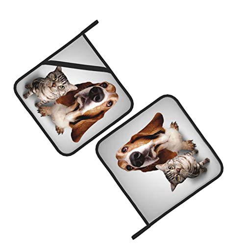 Personalized Custom Oven Mitts Pot Holders Set,Add Your Photo Image Customized Resistant Hot Pads With Polyester Non-Slip Bbq Gloves And Mat For Kitchen,Cooking,Baking,Grilling Style1 #TOP2