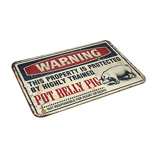 Tapis d'extérieur de porte 65x90 cm avec message d'accueil humour