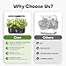 Ahopegarden Hydroponics Growing System kit: 12 Pods Indoor Herb Garden with Smart Environmental Detection - Full Spectrum LED Grow Light for Growing Vegetables，Herbs and Lettuce - Home Gardening