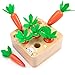 AOJOYS Montessori Toys Carrot Harvest Game Toys for Baby Toddlers 1-3 Years Old, Educational Wooden Carrot Toys Shape Size Sorting Matching Puzzle, Great Baby Easter Toys Birthday Gift Toys
