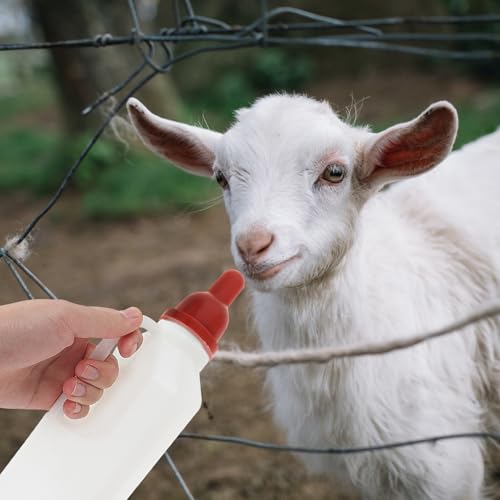 5pcs Rubber Calf Bottle Teats for Baby Animals and Feeding - Image 6