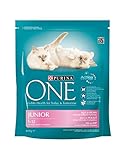 PURINA ONE