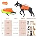 LaRoo Hunderegenmantel, Leuchtendes LED Wasserdicht Winter Reflektierende Regenmantel für Hunde mit Bauchschutz,USB Wiederaufladbarem Sicherheitsweste für Kleine Grosse Hunde(M,Fluoreszierende Orange)