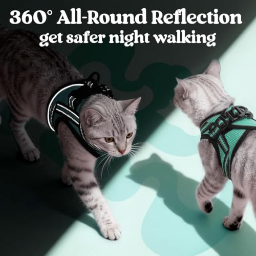 Image of rabbitgoo Cat Harness and Leash Set, Step-in Soft Vest, Green | Escape Proof, Lightweight, Easy-on & Adjustable, Hook & Loop with Buckle, Reflective, for Kittens & Small Cats Walks, M