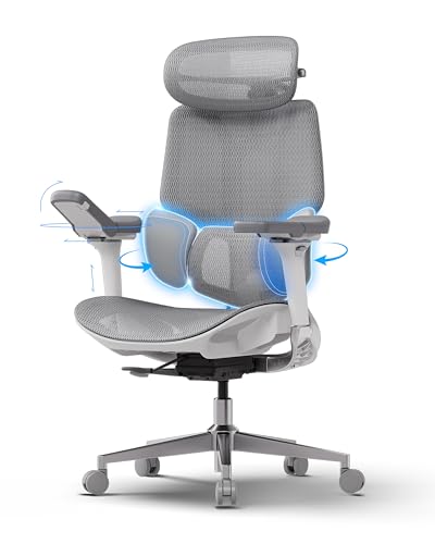 E3 Pro Sedia Ufficio e Scrivania Ergonomica, con Supporto Lombare Dinamico a 3 Zone, Testiera Regolabile 4D, Braccioli Regolabili 6D (Polipropilene, Gray)