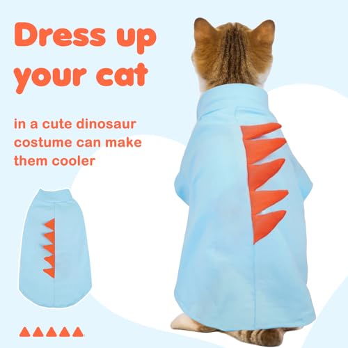#1 Best Dentrun Sphynx Cat - Premium Pet Apparel Set - Image 4