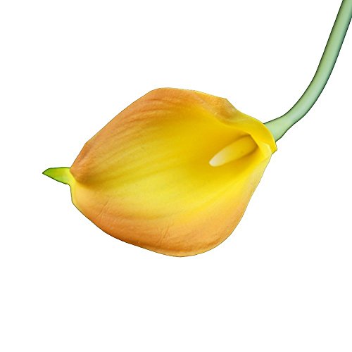Angel Isabella Lot of 60-Real Touch Calla Lilies (2-Tone-Gold Yellow)
