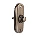 A29 Antique Brass Doorbell Button – 2 1/2