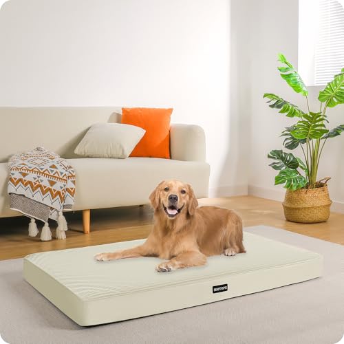 HMTOPE Orthopädisches Hundebett, 10cm Dicke Hundekissen für Mittelgroße Hunde, Grosse Hunde, Abnehmbar und Waschbar Hundematte, rutschfeste Unterseite, Wasserdichtes Innenfutter, 112 cm, Beige