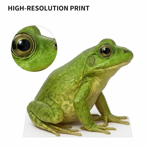 Image of Frog 2FT Life Size Cardboard Cutout - A Fun Animal Standup for Photo Booths, Birthday Parties, and Events
