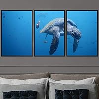 3 Piece Framed Canvas Wall Art Turtle Under The Surface Canvas Prints Home Artwork Decoration for Living Room,Bedroom - 16