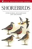 Shorebirds (Helm Field Guides) (Helm Identification Guides)