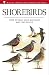 Shorebirds (Helm Field Guides) (Helm Identification Guides)
