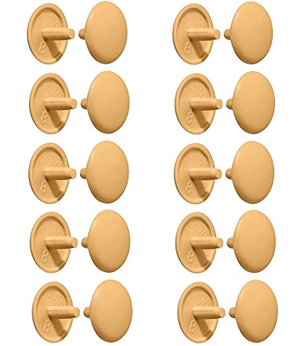 cyclingcolors 20 x cover cap screw caps head hole cover plastic countersunk head PZ2 furniture (pine), Clear, Kiefer
