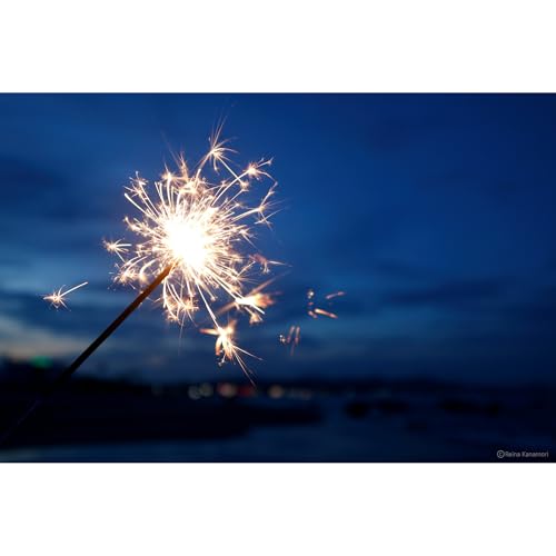 Sigma Objectif 10-18 mm f/2.8 DC DN Contemporary Compatible Avec Canon RF-S Garanti 3 ANS - imagen 10