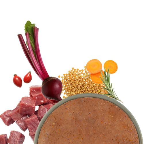 Bosch Freshe Schnauze, Rind mit Hirse und Rote Bete 8 x 250 g, Schonend Dampfgegartes Nassfutter für Hunde, Vollwertiges Alleinfuttermittel mit hohem Fleischgehalt, 8 x 250 g Hundenassfutter